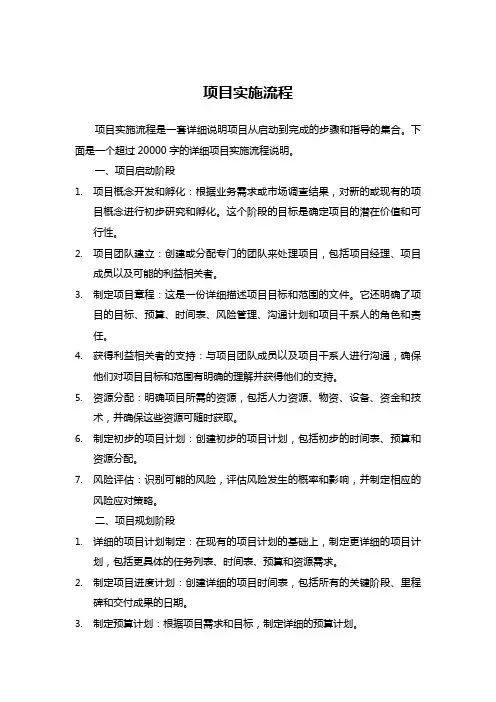项目实施流程