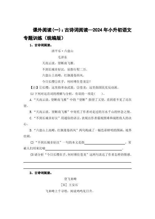 课外阅读(一)：古诗词阅读—2024年小升初语文专题训练(统编版)