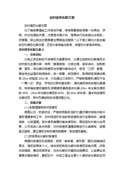 农村债务化解方案