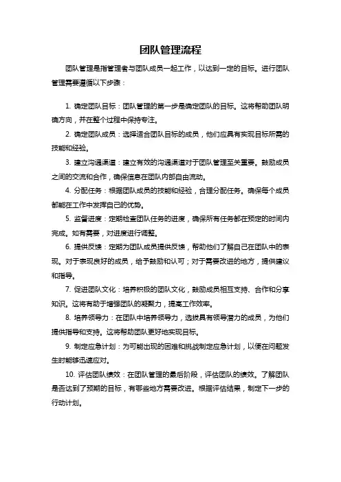 团队管理流程