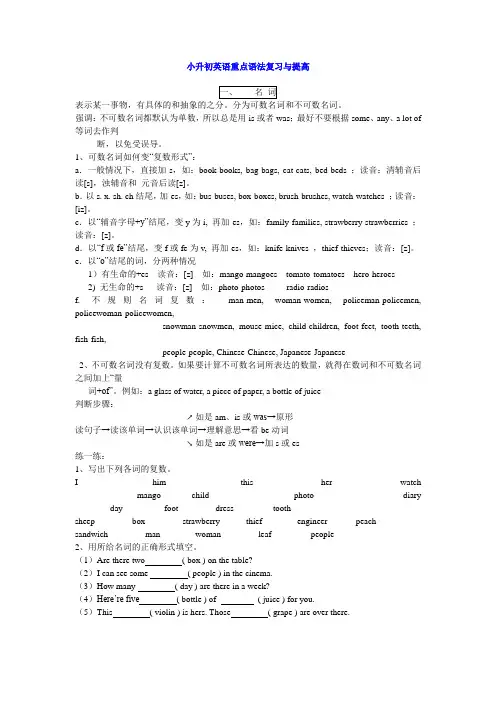 小升初英语重点语法复习与提高(名词)