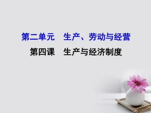 2018年高考政治一轮复习1.2.4生产与经济制度课件新人教版必修1