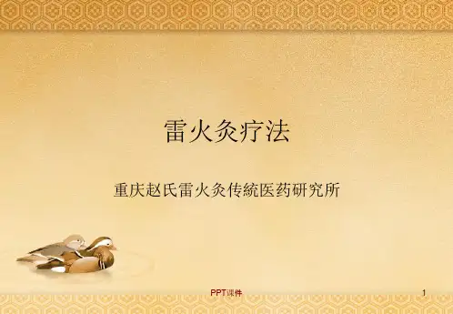 重庆赵氏雷火灸疗法  ppt课件