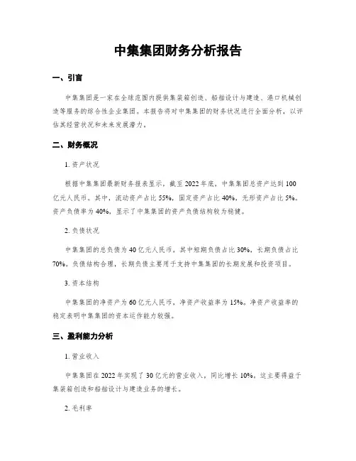 中集集团财务分析报告