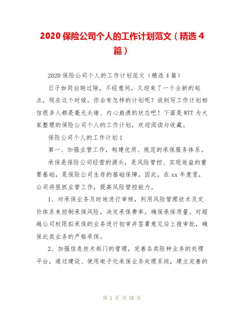 2020保险公司个人的工作计划范文(精选4篇)