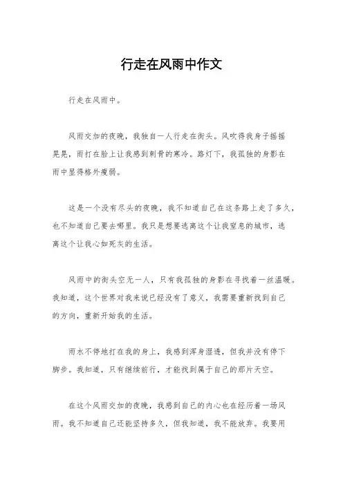 行走在风雨中作文