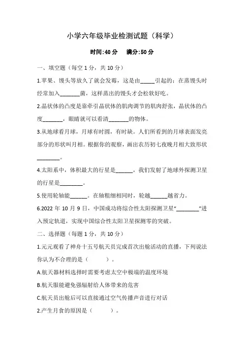 新青岛版六年级毕业考试科学模拟题