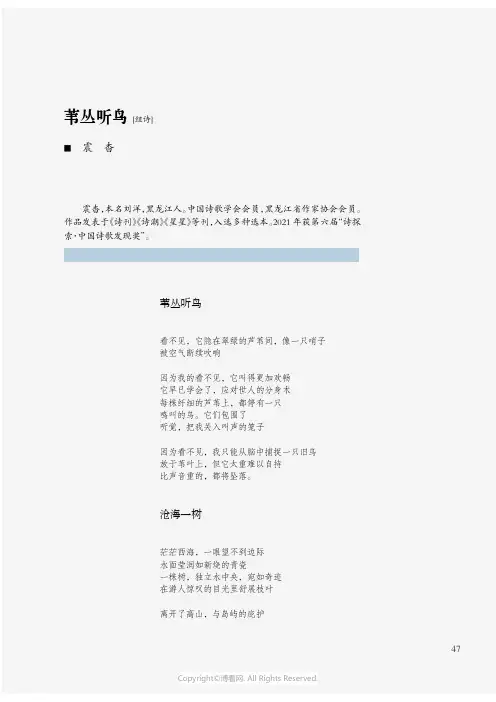 苇丛听鸟[组诗]