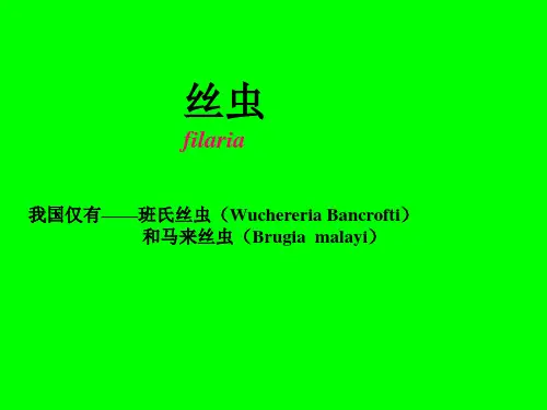 血吸虫