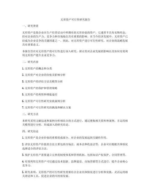 无形资产可行性研究报告