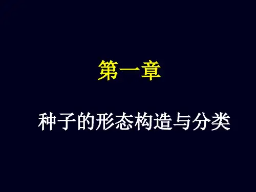 种子形态与分类教材