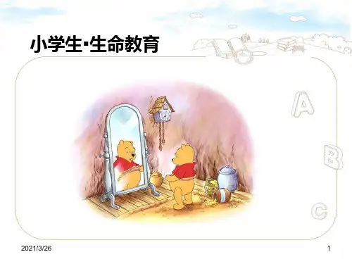 《小学生生命教育》PPT课件