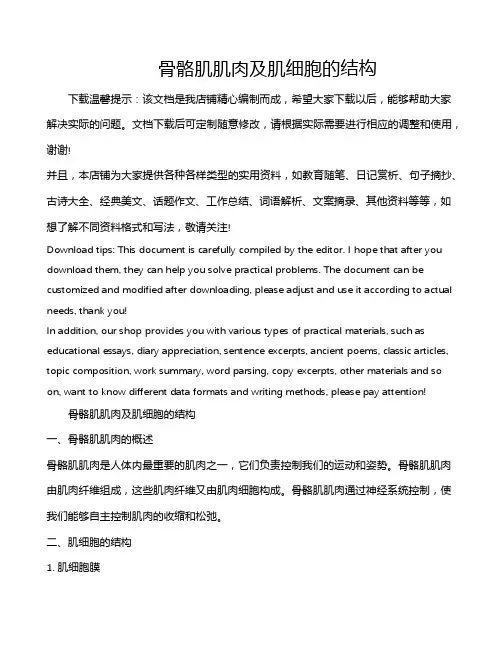 骨骼肌肌肉及肌细胞的结构