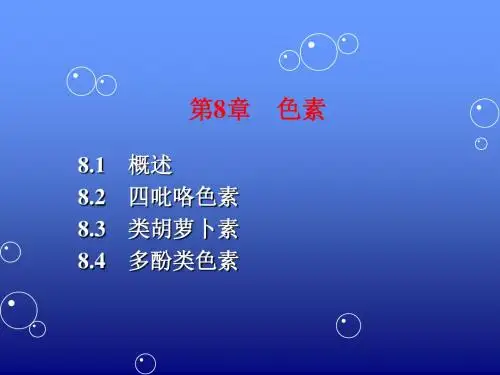 食品化学第9章色素