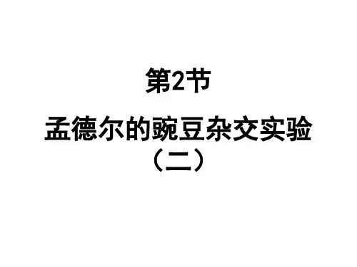 【高中生物必修二】1.2孟德尔的豌豆杂交实验(二)精品PPT课件