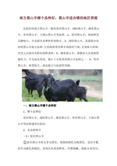 南方黑山羊哪个品种好,黑山羊适合哪些地区养殖