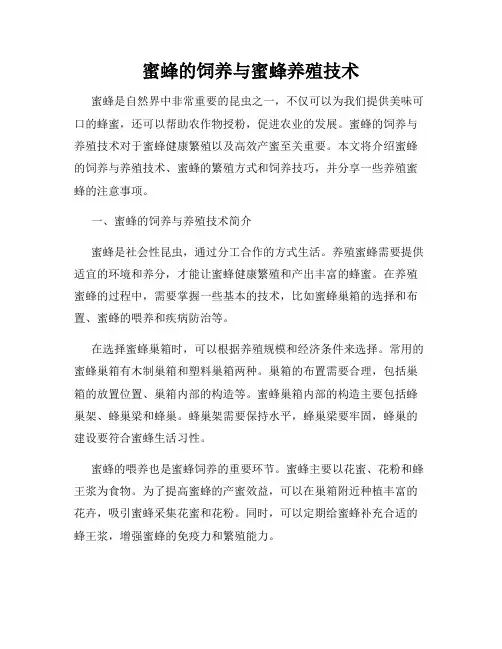 蜜蜂的饲养与蜜蜂养殖技术