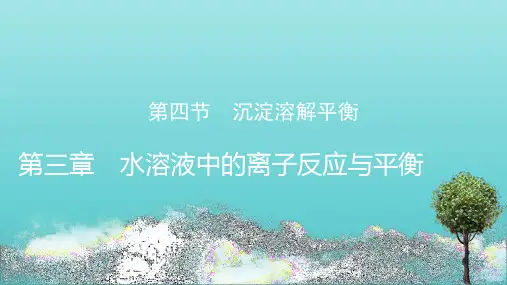 新教材高中化学第3章第4节沉淀溶解平衡课件新人教版选择性必修1ppt
