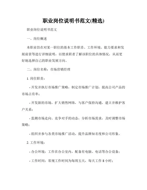 职业岗位说明书范文(精选)