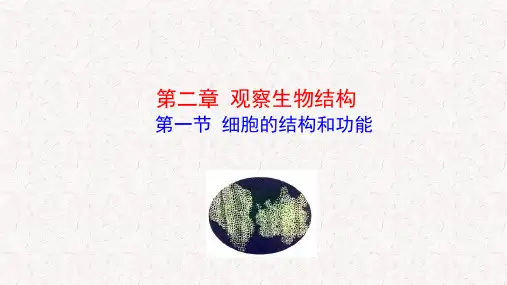 细胞的结构和功能