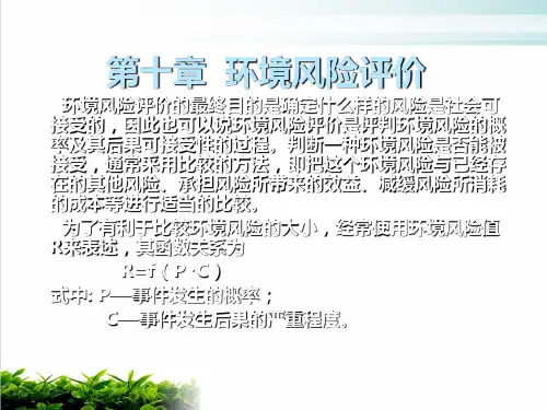 试论环境风险评价课件演示(21张)