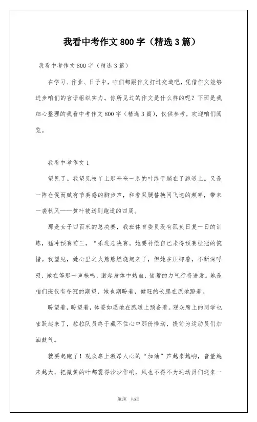 我看中考作文800字(精选3篇)
