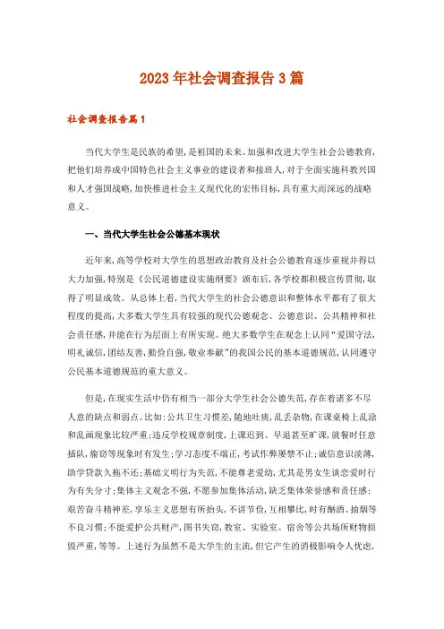 2023年社会调查报告3篇_43