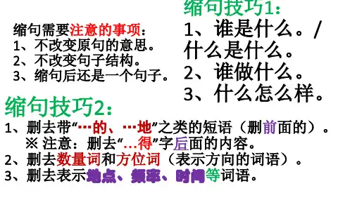 语文三年级 缩句和扩句