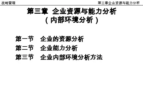 4第三章企业资源与能力分析