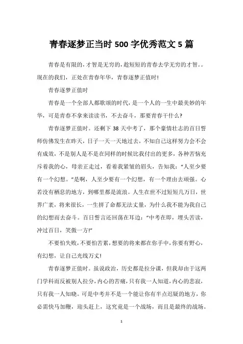 青春逐梦正当时500字优秀范文5篇