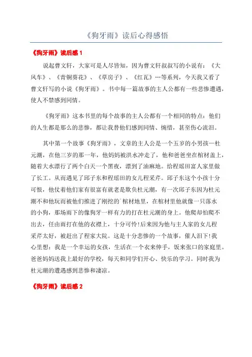 《狗牙雨》读后心得感悟