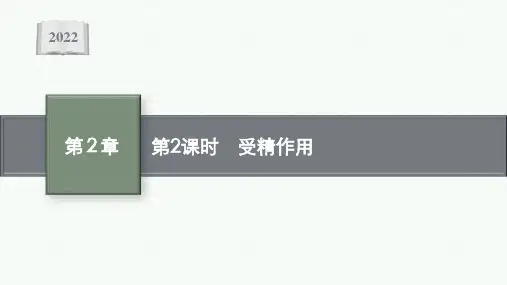 高中生物人教版2019必修2第2章第1节第2课时受精作用