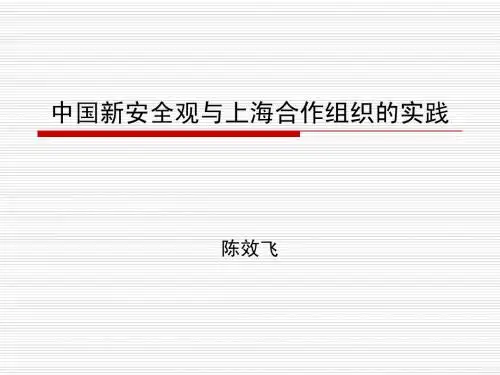 中国新安全观与上海合作组织的实践