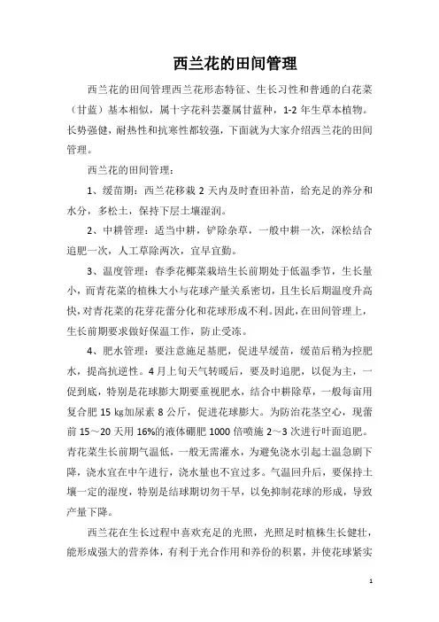 西兰花的田间管理