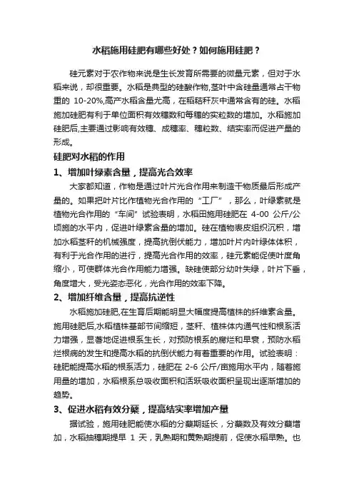 水稻施用硅肥有哪些好处？如何施用硅肥？