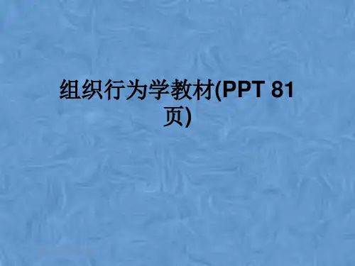 组织行为学教材(PPT 81页)