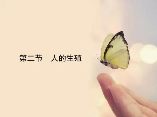 《人的生殖》授课课件