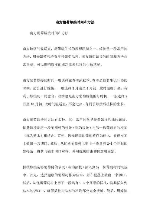 南方葡萄嫁接时间和方法