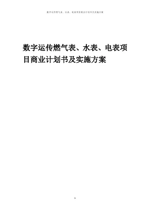 2024年数字运传燃气表、水表、电表项目商业计划书及实施方案