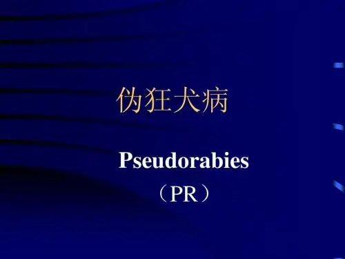 伪狂犬病
