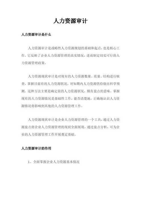 人力资源审计