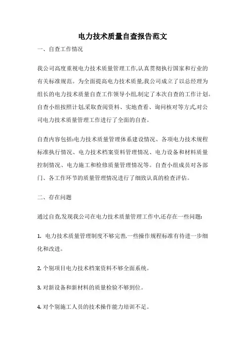 电力技术质量自查报告范文