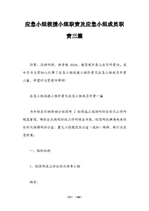 应急小组救援小组职责及应急小组成员职责三篇