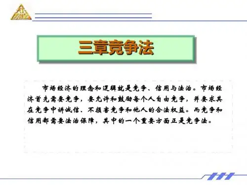 竞争法概述(PPT48张)