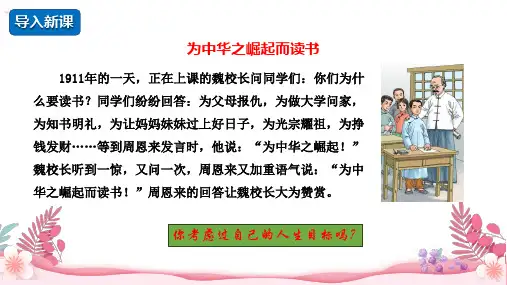 11.1 探问人生目标 课件(22张PPT)-2024-2025学年统编版道德与法治七年级上册