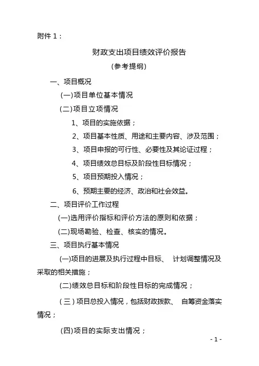 财政支出项目绩效评价报告