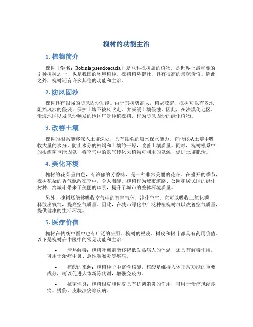 槐树的功能主治