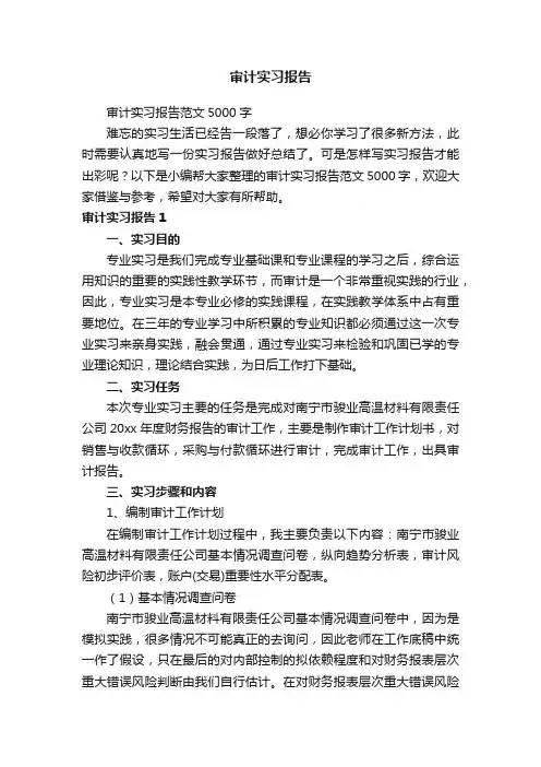 审计实习报告范文5000字
