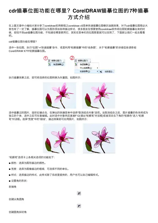 cdr描摹位图功能在哪里？CorelDRAW描摹位图的7种描摹方式介绍