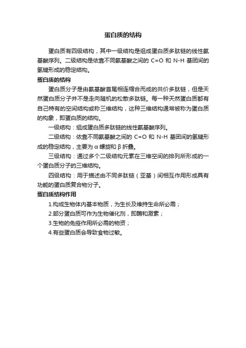 蛋白质的结构